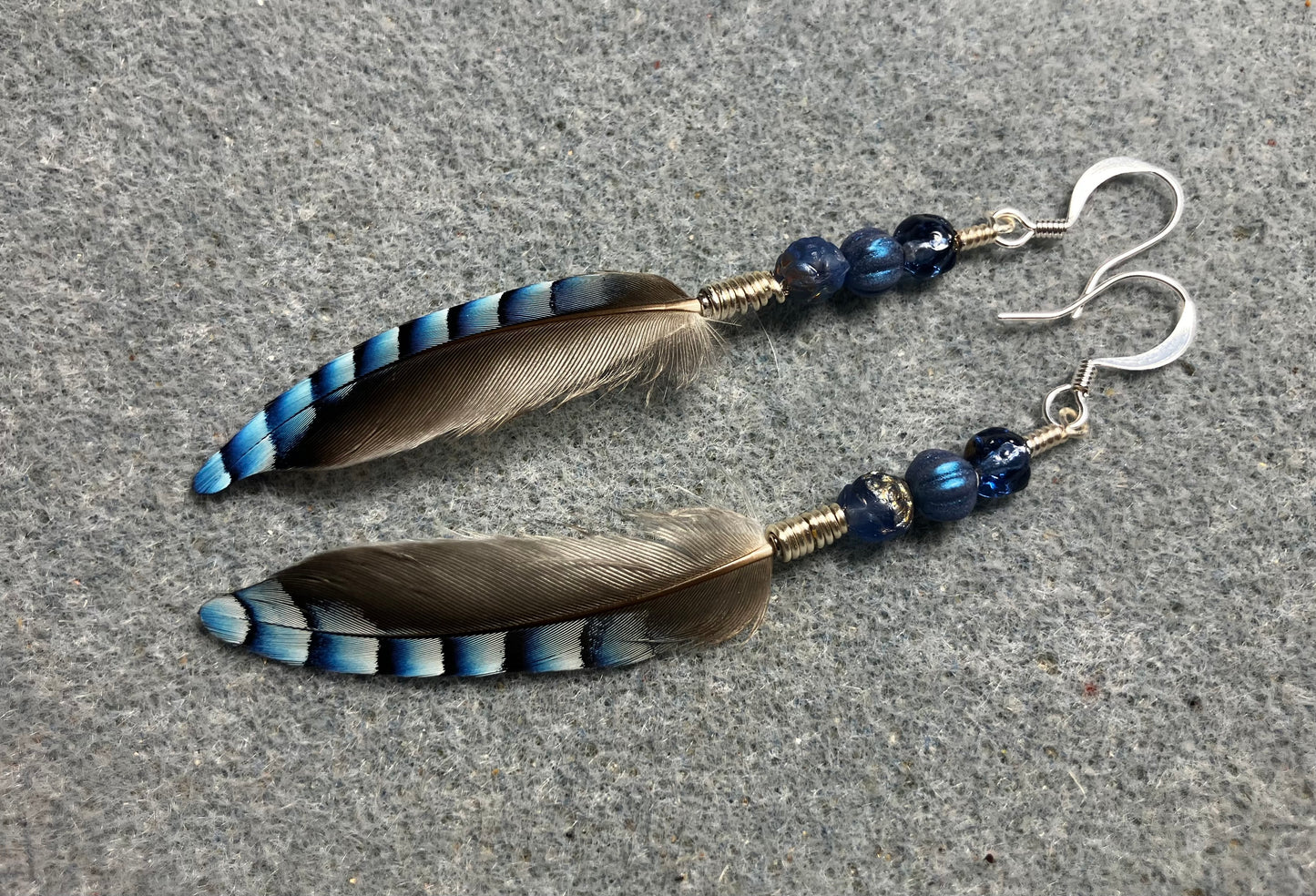 Small striped blue jay feather earrings adorned with small blue Czech glass beads.