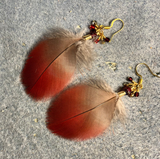 Small dark red and gray macaw feather earrings adorned with dark red Czech glass beads and tiny dangling dark red and green Czech glass beads.
