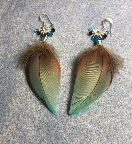 Rare cobalt bluish purple bronze-winged Pionus feather earrings adorned with cobalt blue and purple Czech glass beads.