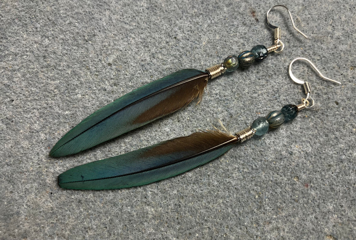 Slender turquoise blue and gold macaw feather earrings adorned with turquoise Czech glass beads.