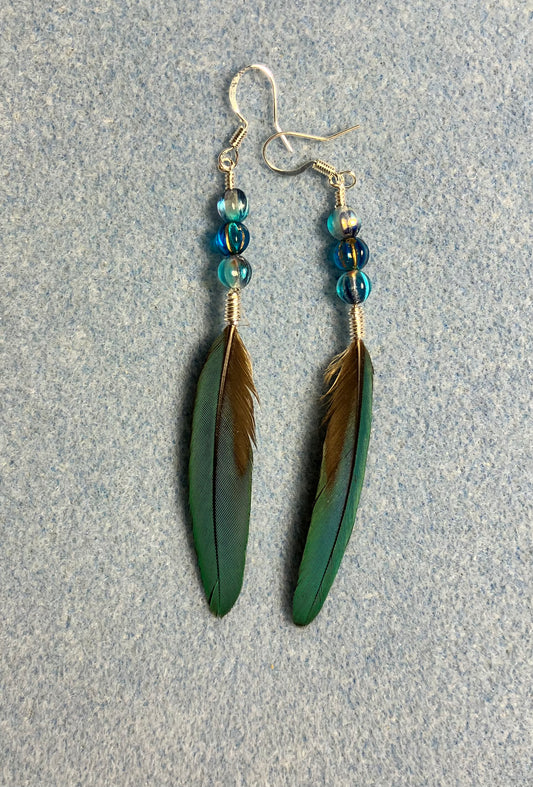 Slender turquoise blue and gold macaw feather earrings adorned with turquoise Czech glass beads.