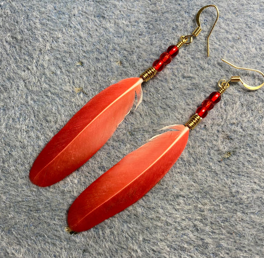 Bright red spectacled Amazon feather earrings adorned with small red Czech glass beads.