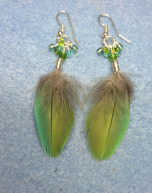 Blue and green military macaw feather earrings adorned with green Czech glass beads and small dangling teal and green Chinese crystal beads.
