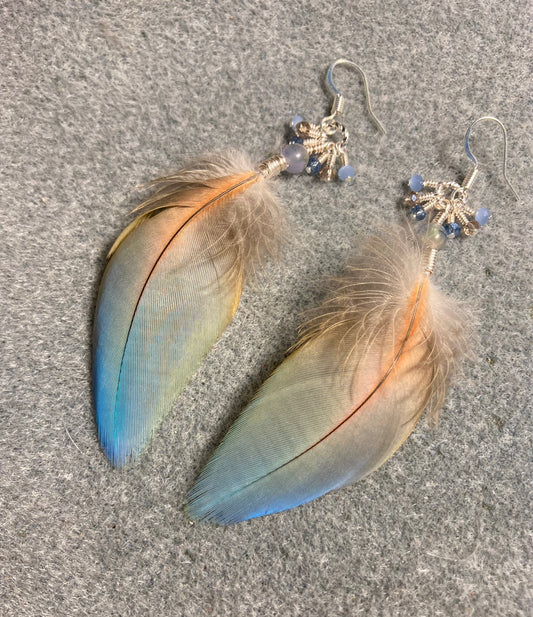 Light blue and peach macaw feather earrings adorned with blue Czech glass beads and tiny dangling light blue and peach Chinese crystal beads.