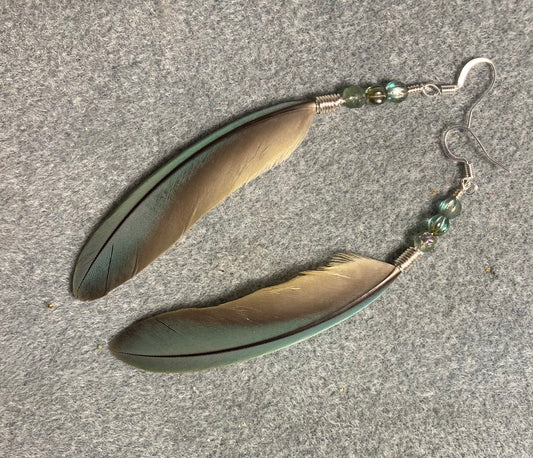 Small pointed green gray red-fronted macaw feather earrings adorned with small green gray Czech glass beads.