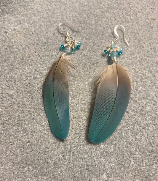 Turquoise macaw feather earrings adorned with turquoise Czech glass beads and tiny dangling turquoise Czech glass beads.