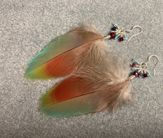 Red and turquoise greenwinged macaw feather earrings adorned with tiny dangling dark red, turquoise, and green Czech glass beads.