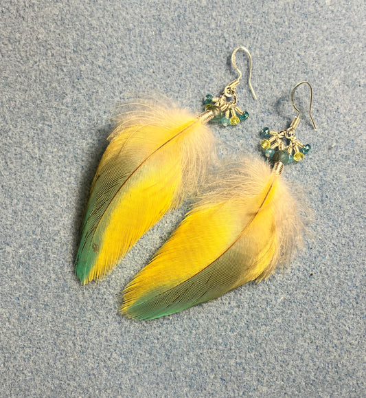 Small yellow and blue macaw feather earrings adorned with aqua Czech glass beads and tiny dangling aqua and yellow Chinese crystal beads.