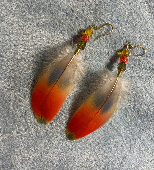 Red, yellow, and green scarlet macaw feather earrings adorned with red, yellow, and green Czech glass beads.