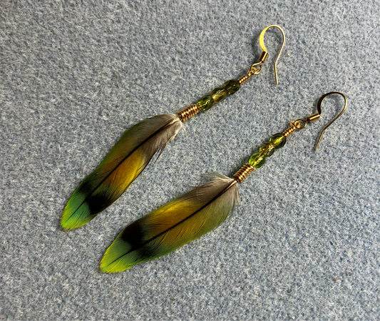 Dark green and olive green lovebird feather earrings adorned with small olive green Czech glass beads.