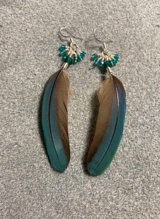 Teal turquoise mini macaw feather earrings adorned with teal Czech glass beads and small dangling teal and turquoise Czech glass beads.