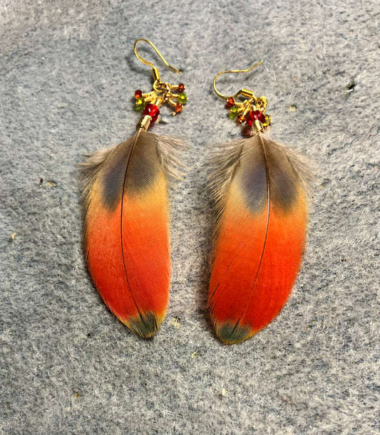 Red and green scarlet macaw feather earrings adorned with red Chinese crystal beads and tiny dangling red and amber Chinese crystal beads.