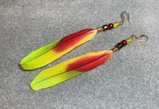 Greenish yellow and red spectacled Amazon tail feather earrings adorned with green, red, and yellow Czech glass beads.