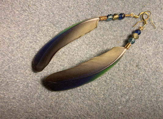 Blue and green sun conure feather earrings adorned with green and blue Czech glass beads.