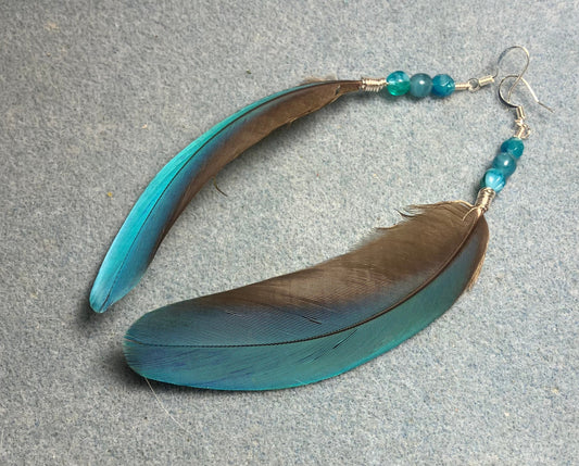 Turquoise blue macaw feather earrings adorned with turquoise Czech glass beads.