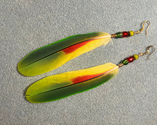Panama Amazon parrot feather earrings adorned with lime green, red, and green Czech glass beads.