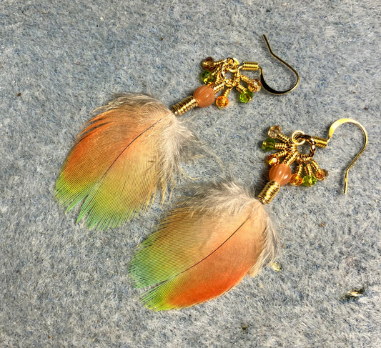Orange and yellow scarlet macaw feather earrings adorned with orange Czech glass melon beads and tiny dangling orange, amber, and green Chinese crystal beads.