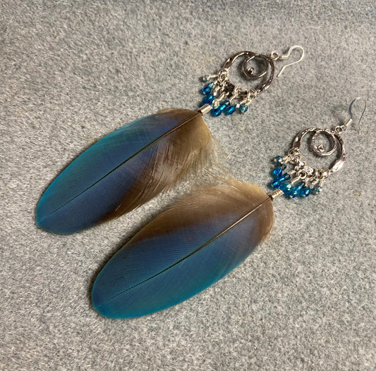 Turquoise macaw feather earrings attached to silver chandelier findings and are adorned with small turquoise Czech glass beads.