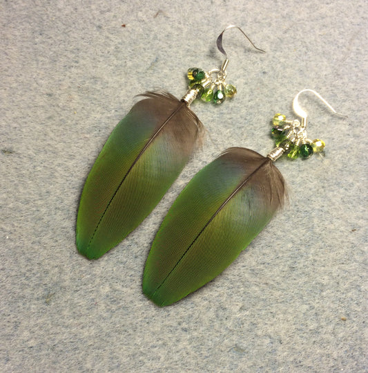 Blue green macaw feather earrings adorned with small dangling green Czech glass beads