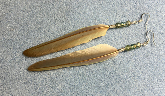 Bluish gray green cheeked conure feather earrings adorned with small light green Czech glass beads.