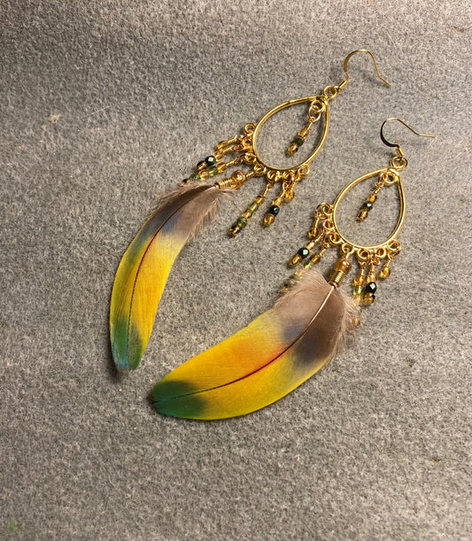 Yellow and green scarlet macaw feather earrings on gold chandelier findings adorned with tiny dangling topaz and green Czech glass beads.