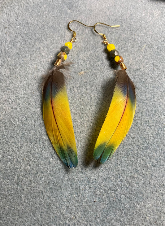 Bright yellow and green scarlet macaw feather earrings adorned with yellow and green Czech glass beads.