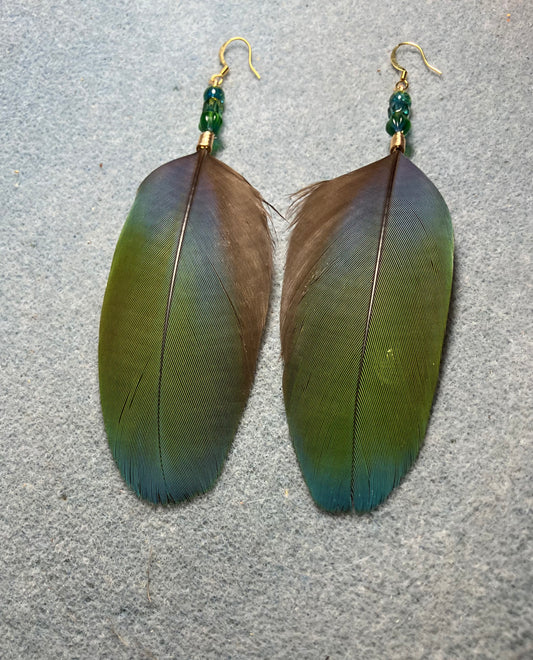 Blue and green scarlet macaw feather earrings adorned with blue green Czech glass beads.