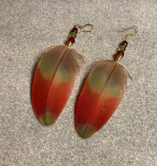 Dark red and green greenwinged macaw feather earrings adorned with red and green Czech glass beads.