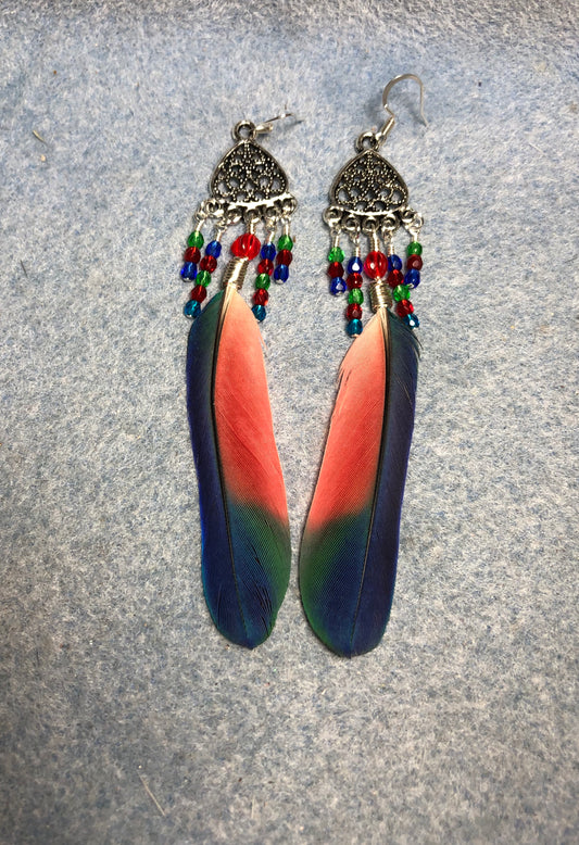 Blue, red, and green Pionus parrot feather earrings attached to silver chandelier findings and adorned with small blue, red, and green Czech glass beads.