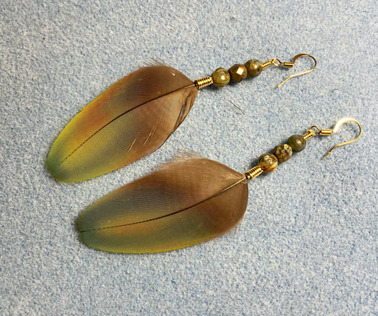 Multicolored greenish macaw feather earrings adorned with olive green Czech glass beads.