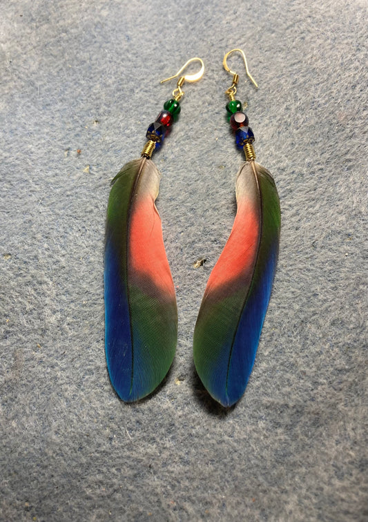 Blue, red, and green Pionus parrot tail feather earrings adorned with blue, red, and green Czech glass beads.