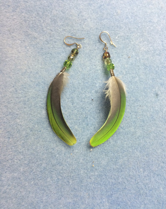 Lime green mini macaw feather earrings adorned with lime green Czech glass beads.