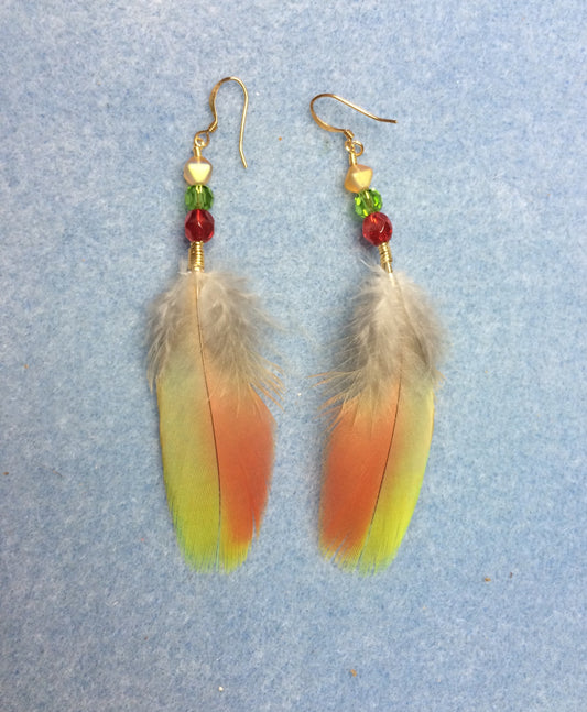Olive green and orange scarlet macaw feather earrings adorned with red, green, and yellow Czech glass beads.