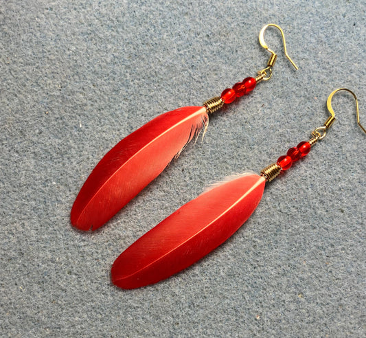 Bright red spectacled Amazon feather earrings adorned with small red Czech glass beads.