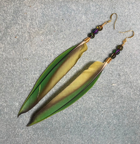 Long green Noble mini macaw parrot feather earrings adorned with green Czech glass beads.