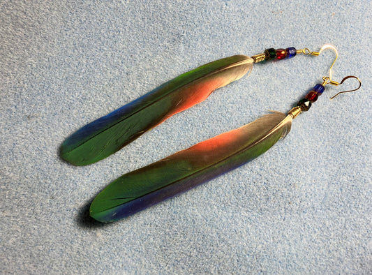 Green, red, and blue Pionus parrot feather earrings adorned with green, red, and blue Czech glass beads