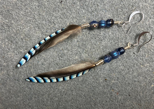 Small striped blue jay feather earrings adorned with small blue Czech glass beads.