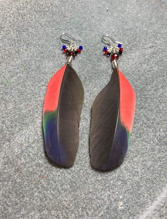 Black, red, and blue Amazon parrot feather earrings adorned with red Czech glass beads and small dangling black, red, and blue Czech glass beads.