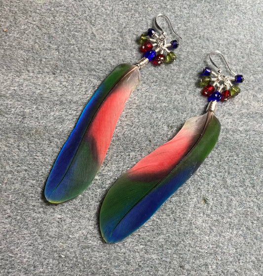 Blue, red, and green Pionus feather earrings adorned with blue, red, and green dangling Czech glass beads