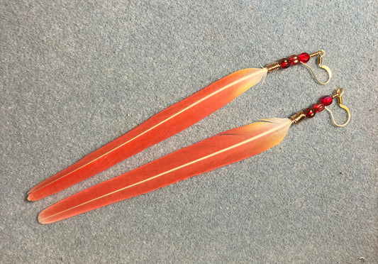 Extra long bright red sun cheeked conure feather earrings adorned with red Czech glass melon beads.
