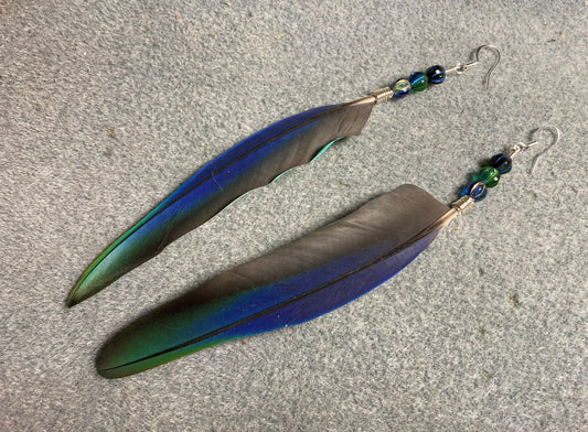 Rare iridescent blue and green Pionus parrot feather earrings adorned with blue and green Czech glass beads.