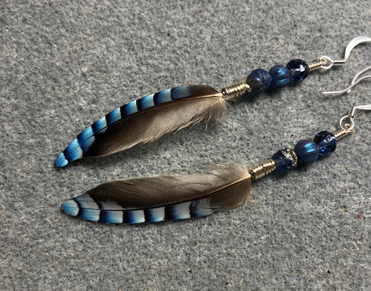 Small striped blue jay feather earrings adorned with small blue Czech glass beads.