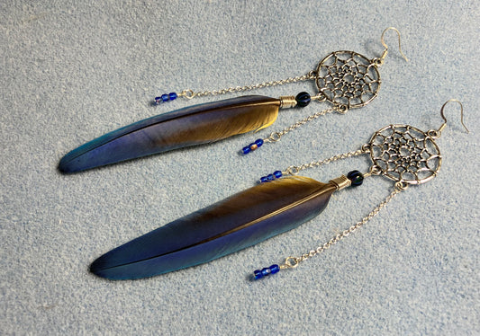 Dark blue macaw feather earrings attached to silver dream catchers and adorned with silver chain and tiny blue Czech glass beads.