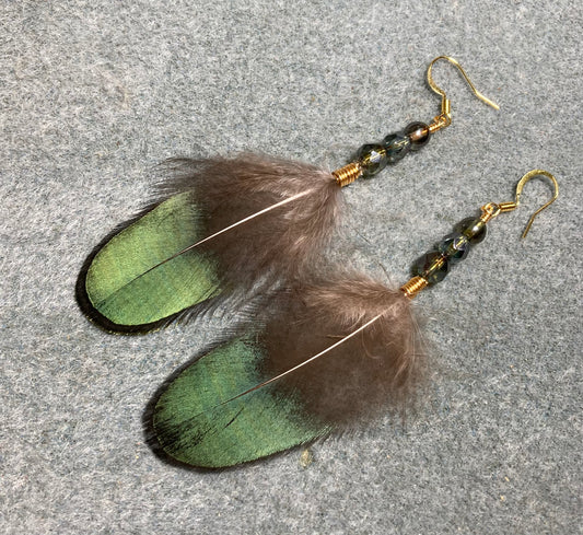 Iridescent Lady Amherst pheasant feather earrings adorned with green Czech glass beads.