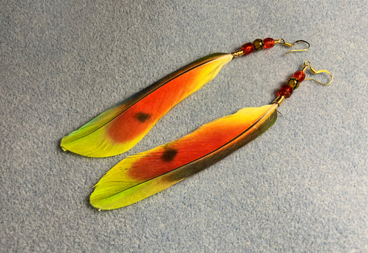 Orange winged Amazon tail feather earrings adorned with orange and green Czech glass beads.