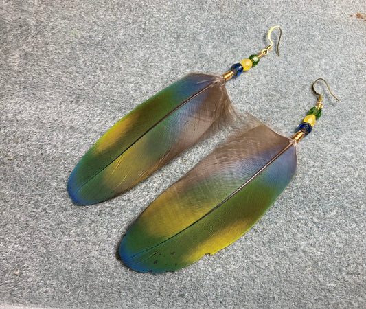 Blue, green, and yellow scarlet macaw feather earrings adorned with blue, green, and yellow Czech glass beads.