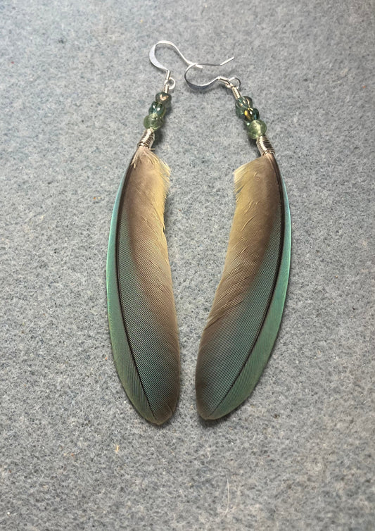 Small pointed green gray red-fronted macaw feather earrings adorned with small green gray Czech glass beads.