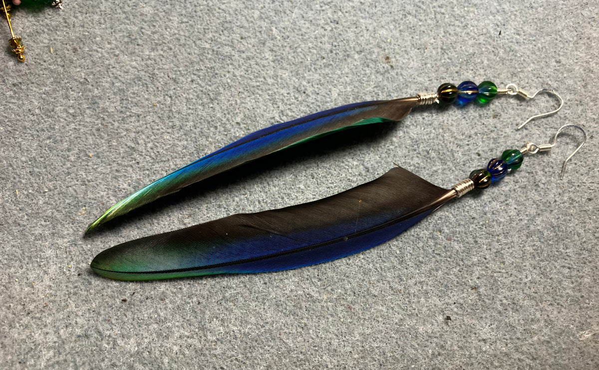 Rare iridescent blue and green Pionus parrot feather earrings adorned with blue and green Czech glass beads.
