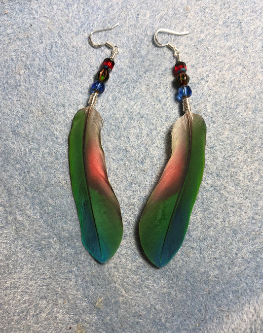 Blue, green, and red Pionus parrot feather earrings adorned with blue, green, and red Czech glass beads.