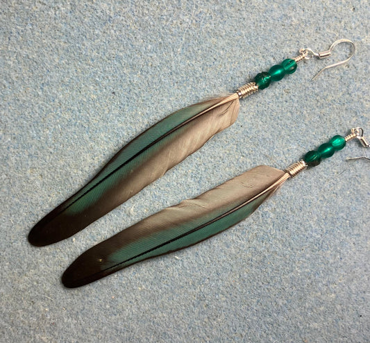 Long teal green cheeked conure feather earrings adorned with teal Czech glass melon beads.